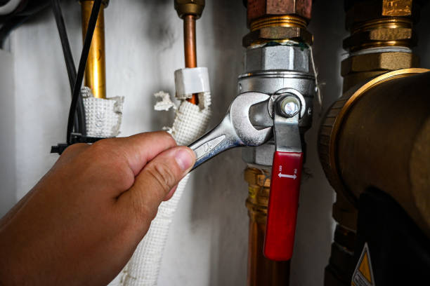Best Clogged Drain Plumber  in Alto, TX